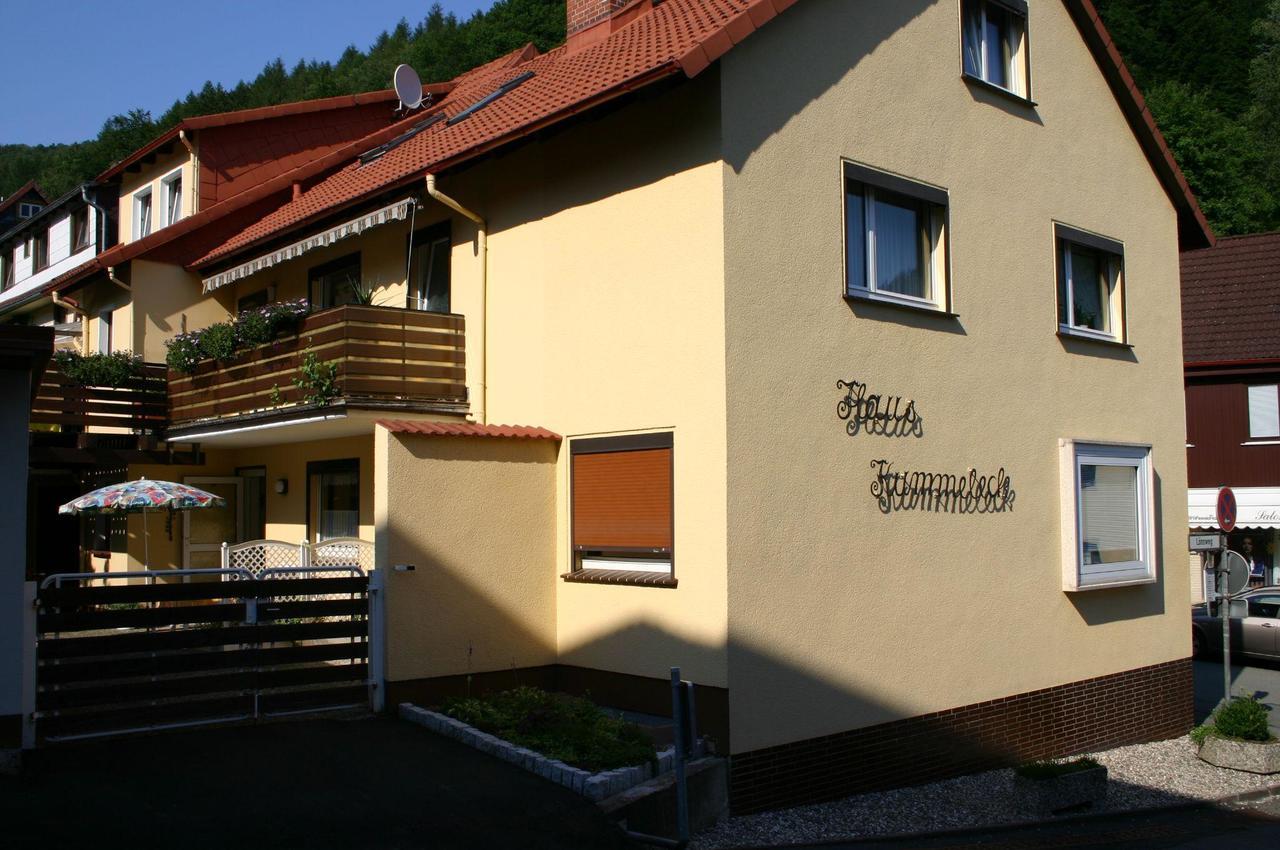Haus-Kummeleck-Wohnung-3 Bad Lauterberg Luaran gambar