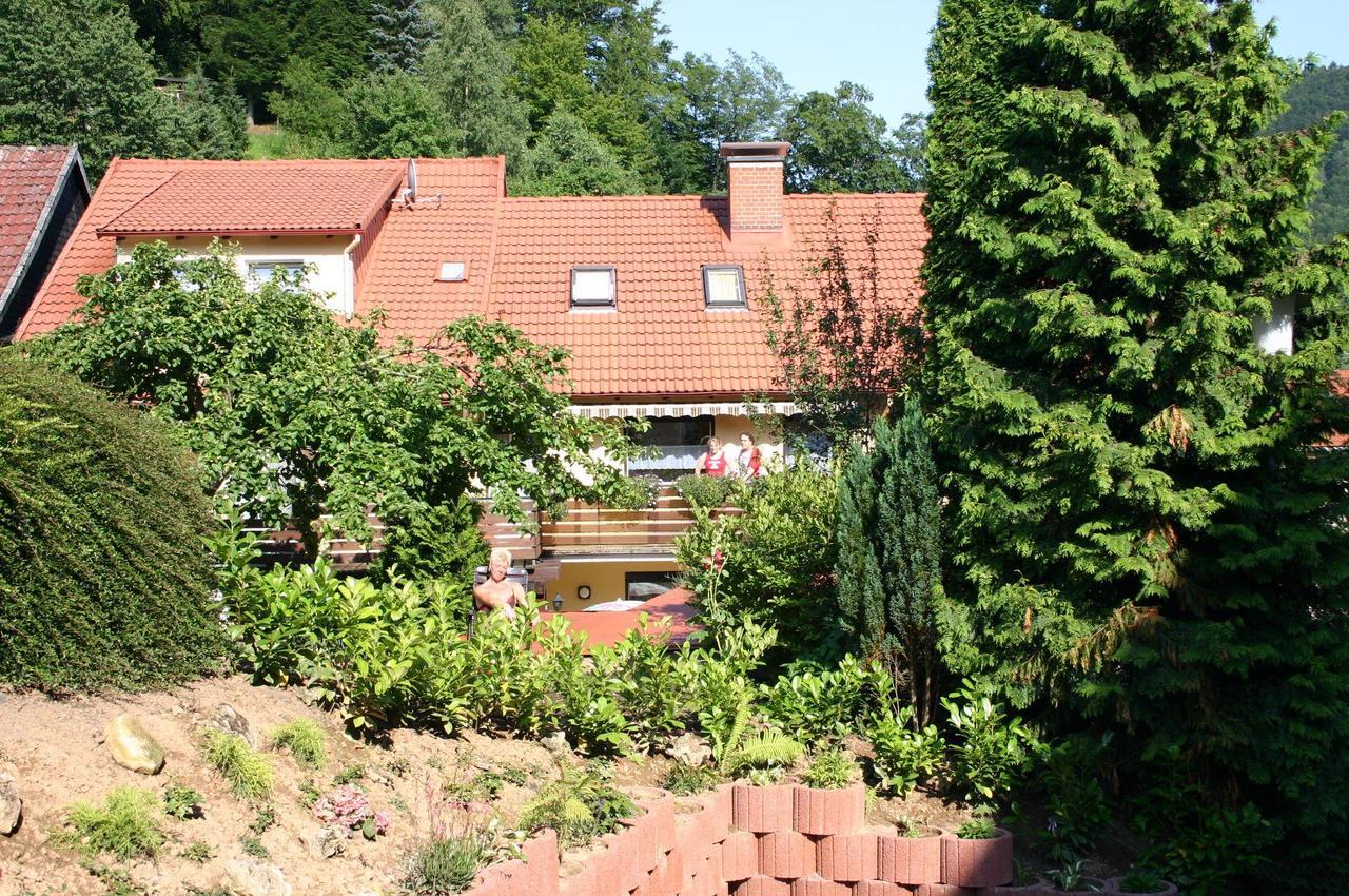 Haus-Kummeleck-Wohnung-3 Bad Lauterberg Luaran gambar